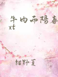 牛肉面阳春面txt