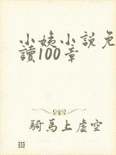 小姨小说免费阅读100章