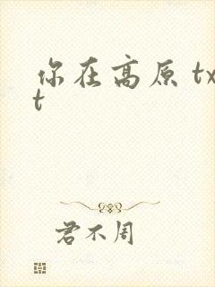 你在高原 txt