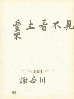 爱上看不见的房东