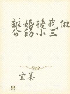 离婚后我做了老公的小三