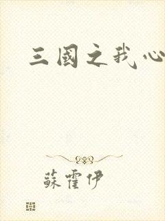 三国之我心狂想
