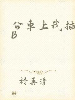 公车上我插上骚B