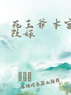 死王爷 本宫已改嫁