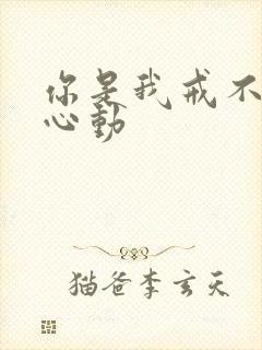 你是我戒不掉的心动