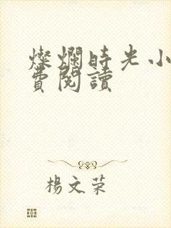 灿烂时光小说免费阅读