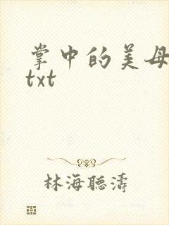 掌中的美母版主txt