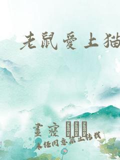 老鼠爱上猫下载