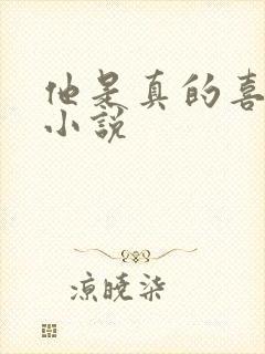 他是真的喜欢你小说