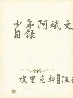 少年阿斌文说读目录