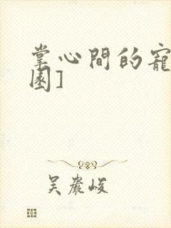 掌心间的宠[校园]