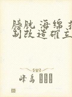 膀胱 海绵 控制改造确立m