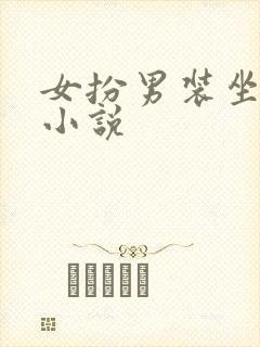 女扮男装坐江山小说