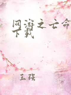 网游之亡命天涯下载