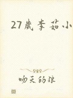 27岁李茹小说