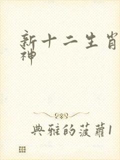 新十二生肖守护神