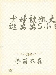 少妇被粗大猛进进出出S小说