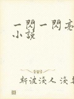 一闪一闪亮晶晶小说