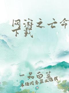 网游之亡命天涯下载