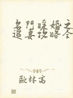 名门暖婚之权爷追妻攻略全文免费阅读