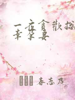 一夜贪欢总裁的幸孕妻