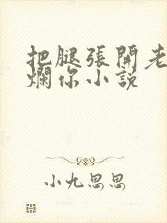 把腿张开老子臊烂你小说