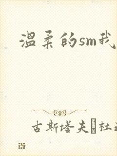 温柔的sm我