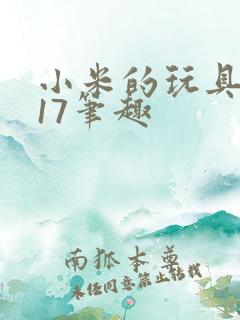 小米的玩具日记17笔趣