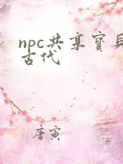 npc共享宝贝古代