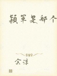 颖军是哪个军阀