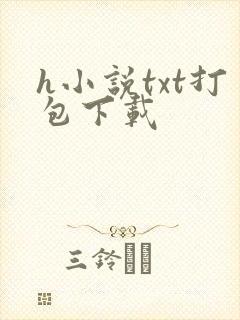 h小说txt打包下载