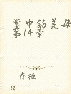 掌中的美母版主第14章