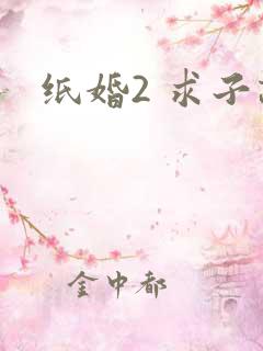纸婚2 求子记
