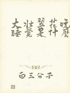 大壮翠花晚上不睡觉是什么电视剧