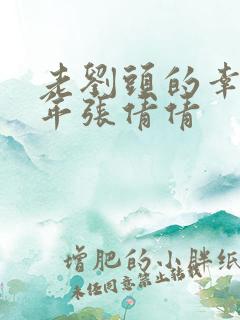 老刘头的幸福晚年张倩倩