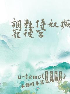 调教侍奴撅臀男宠后宫