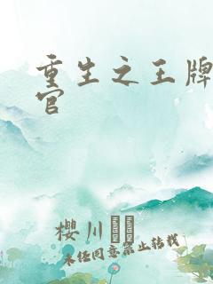 重生之王牌检察官