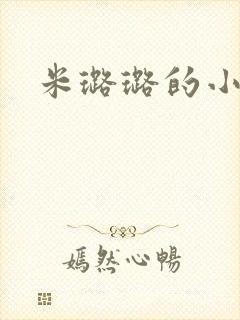 米璐璐的小说