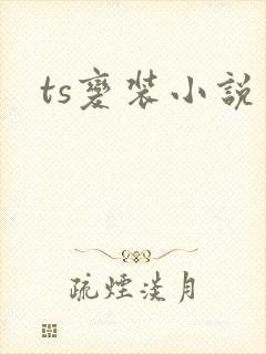 ts变装小说