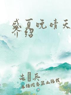 盛夏晚晴天剧情介绍