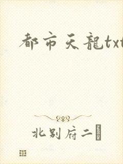 都市天龙txt