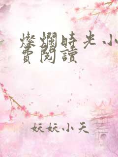 灿烂时光小说免费阅读