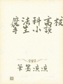 魔法科高校的劣等生小说