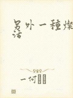 另外一种灿烂生活