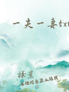 一夫一妻txt