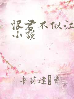 恨君不似江楼月小说