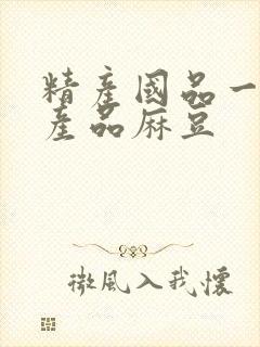 精产国品一二三产品麻豆