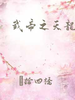 武帝之天龙八部