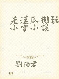 老汉瓜棚玩小丹小雪小说