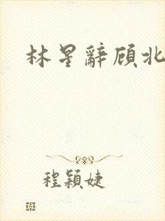 林星辞顾北彦
